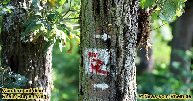 Wandern auf dem Rhein-Burgen-Weg
